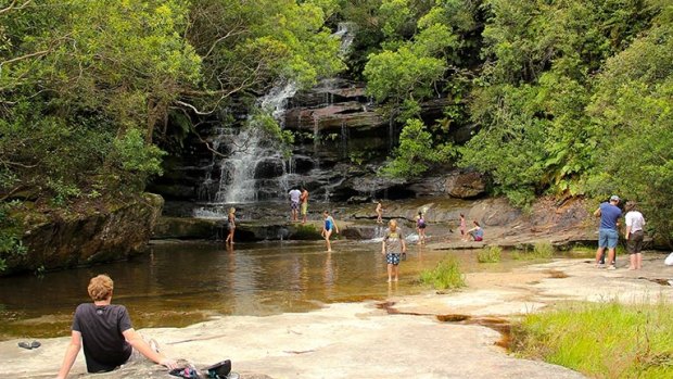 Somersby Falls is a popular picnic spot on the Central Coast