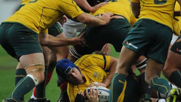 Nathan Sharpe in action for the Wallabies against France last November.