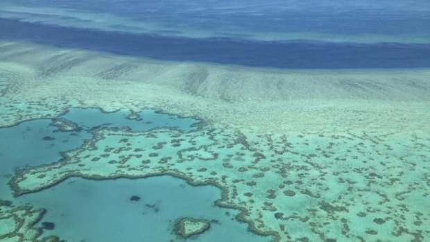 Under threat: The Great Barrier Reef.