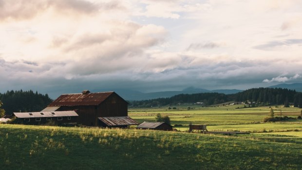 Locavore [loh-kuh-vawr, ‐vohr] - a person who makes an effort to eat food that is grown, raised, or produced locally, usually within 100 miles of home.