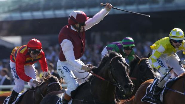 Crowd-puller: more than 15,000 were on hand at Randwick on Saturday to see Complacent take the Spring Champion Stakes.