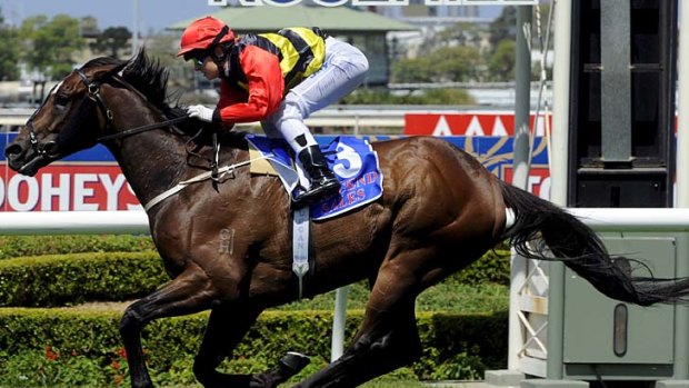 Cantonese is in the running for the Perth Cup.