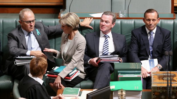 Malcolm Turnbull, Julie Bishop, Christopher Pyne and Tony Abbott in Parliament this week.