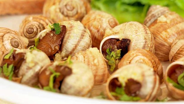 Big white edible snails, boiled and served with garlic sauce.