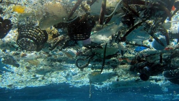 Photo from the National Oceanic and Atmospheric Administration shows debris in Hanauma Bay, Hawaii.