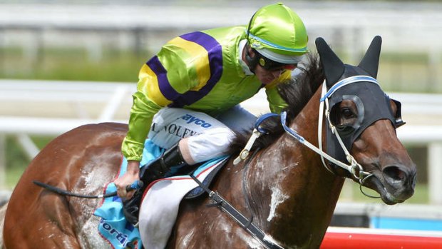Ghost of a chance: Royal Haunt powers to victory in the Manfred Stakes at Caulfield on Saturday.