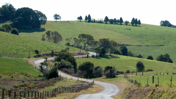 Bucolic retreat ... Comboyne Plateau, near Port Macquarie, is celebrated for its lush, green hills and dairy products.