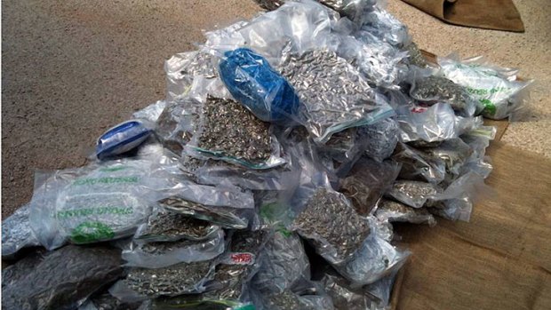 Police have seized 60kg of cannabis.