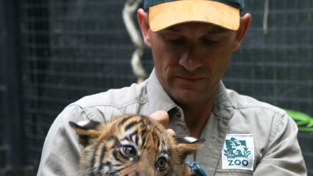 Mark Turner with a 12-week-old tiger cub.