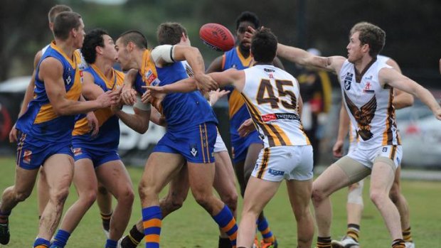 In dispute: Williamstown and Box Hill players fight for the ball at Point Gellibrand Oval yesterday.
