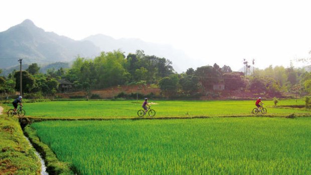 Vietnam is a popular spot for riding holidays.