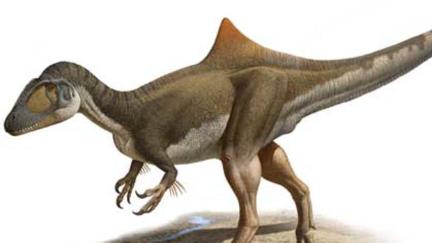 The reconstitution of a new species of dinosaur.