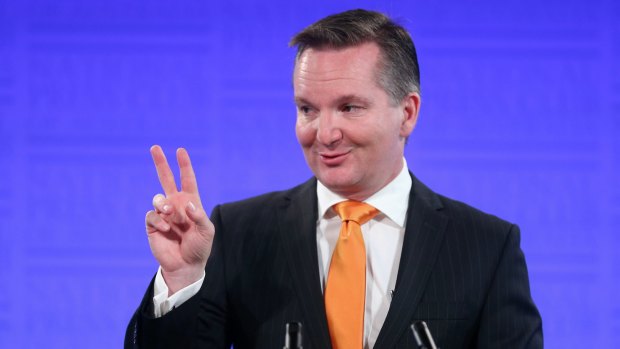 Chris Bowen says Labor's new policy would not worsen housing affordability. 