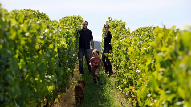Tasmanian vineyard Delamere's Fran, Zac and Shane.