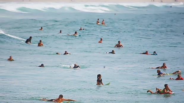 Surfers hit the water on the Gold Coast around the estimated tsunami arrival time, defying pleas from authorities to stay out of the water and away from beaches.