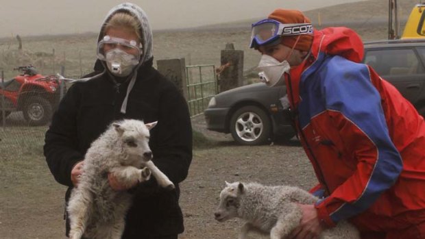 Leading the flock ... a farmer and a rescue worker gather sheep near the Grimsvotn volcano in Iceland, which erupted on Saturday.