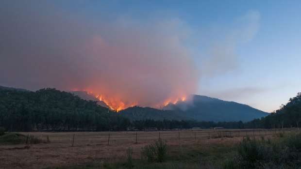 A bushfire rages near Harrietville, in the state's north-east.