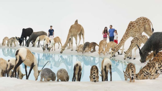 Star attractions: Cai Guo-Qiang's <i>Falling Back to Earth</i>.