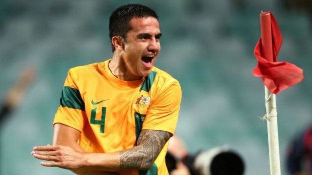 Golden opportunity ... many Socceroos fans were left frustrated and disappointed by virtual queues as they tried to buy World Cup tickets on FIFA.com.