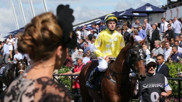 Emotional meeting: Tommy Berry rides Bull Point to the start of the Sebring Stakes at Rosehill on Saturday.