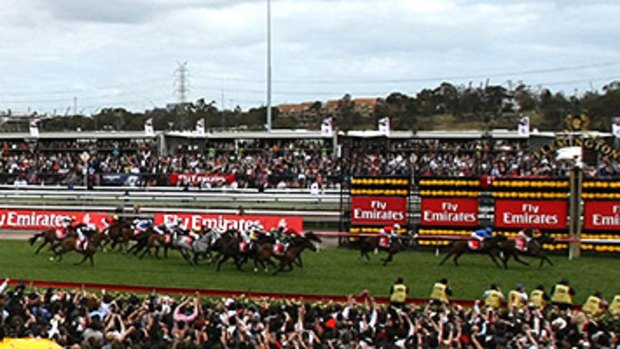 Horses run to the line in today's Melbourne Cup, with Shocking proving the best stayer.