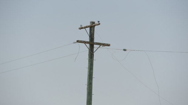 The broken powerline near the Flame Lily boundary.