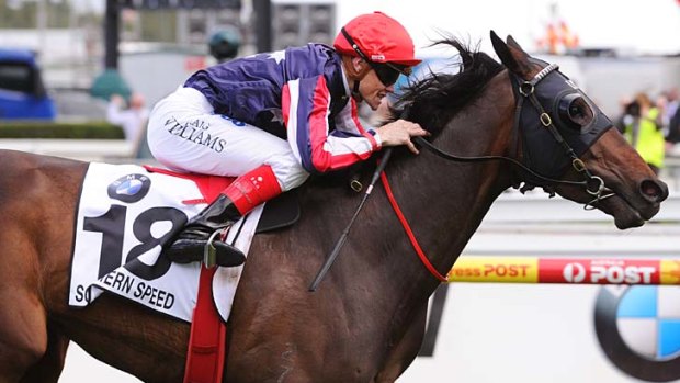 No repeat: Last year's Caulfield Cup winner Southern Speed is out of today's race.