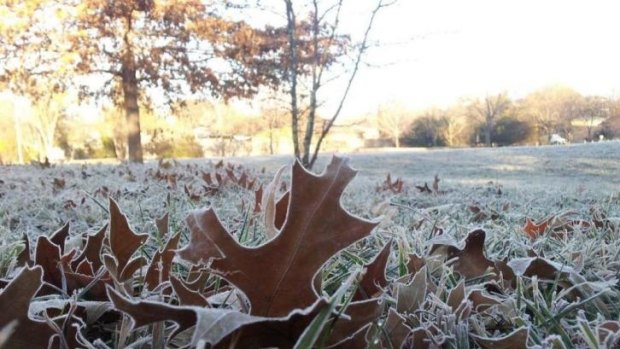 Icy welcome: Frosty mornings in the capital have Emma Macdonald pining for an escape to a tropical beach.