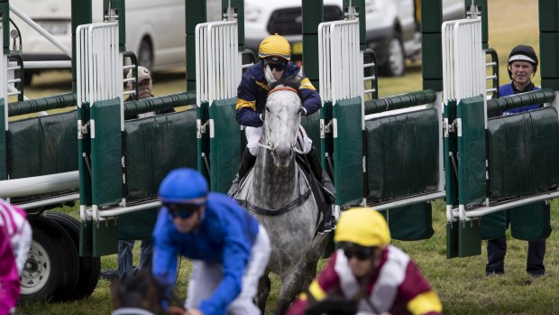 No more: Chautauqua's owners will trade their slot for The Everest this year.