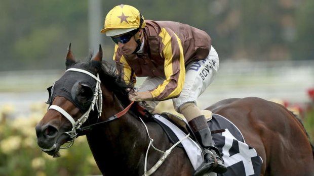 El Roca has been scratched from the Canberra Guineas, throwing the race wide open.