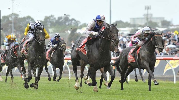 Rapid rise &#8230; Maluckyday, right, runs second to Americain in the 2010 Melbourne Cup.