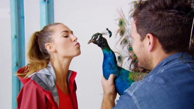 Kate and Harry on House Rules with the infamous peacock.