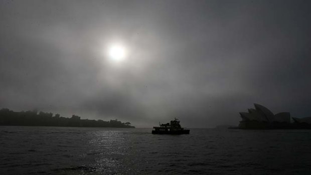 Fog on the harbour forced the cancellation of at least three ferry services.