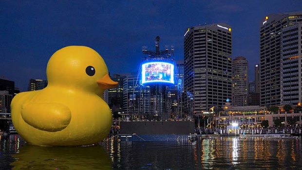 Size matters &#8230; an artist's impression of what Florentijn Hofman's rubber duck will look like in Darling Harbour.