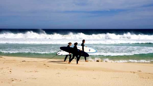 Rich pickings ... King Island's surf is rated highly.