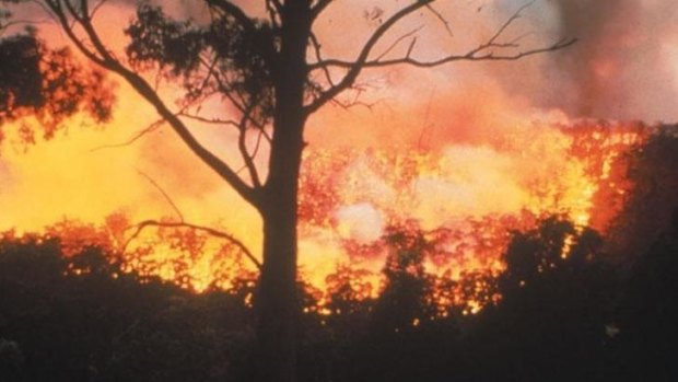 A large bushfire is threatening homes in far north Queensland. 