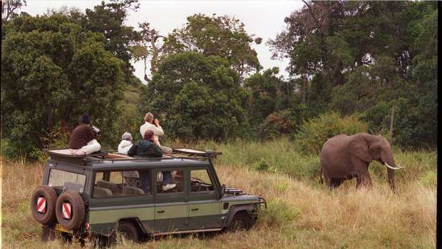 Tourists on safari in Africa.