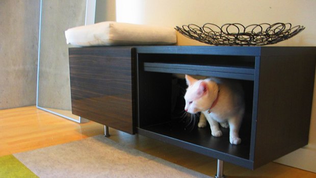 Discreet kitty litter boxes can even sit in the living room