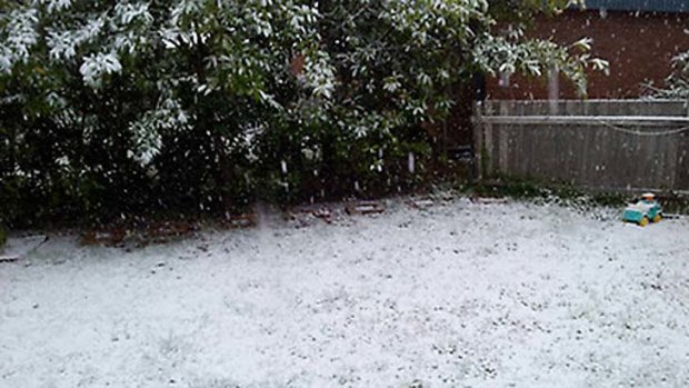 Snow fell in Blackheath in the Blue Mountains.