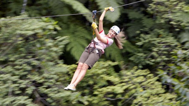 Zip-lining through the forest.