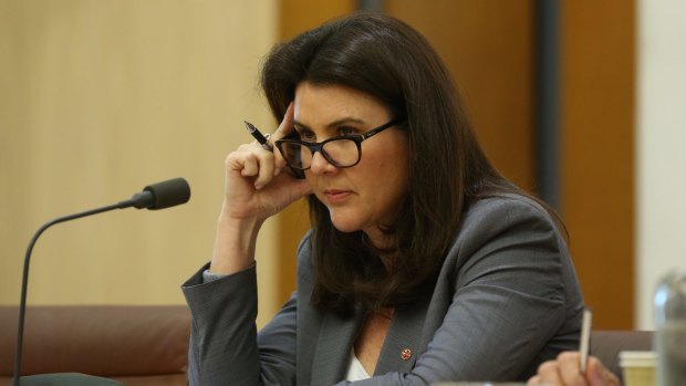 'He's the most harmless individual': Senator defends Leyonhjelm amid sexism row