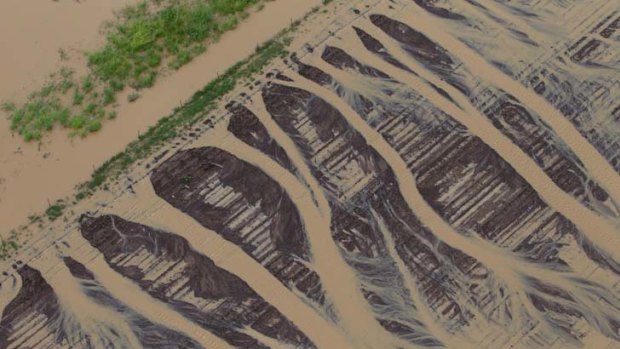 Rivers of destruction ... muddy floodwater flows across saturated farmland near Moree.