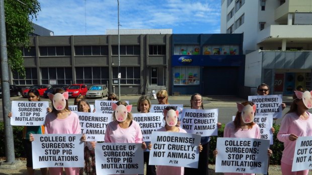 PETA protesters at the College of Surgeons conference in Brisbane. Photo: Supplied.