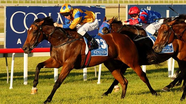 Kerrin McEvoy guides Cosmic Endeavour home.