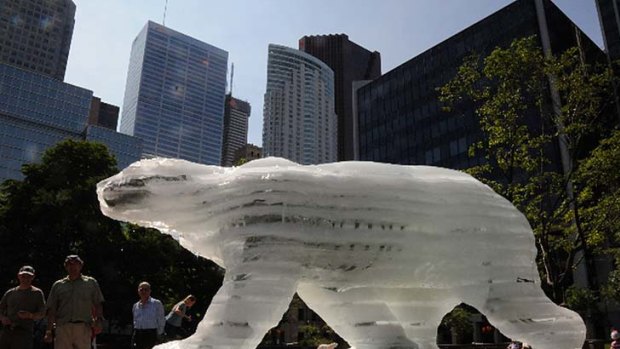 Ice Bear in Toronto.