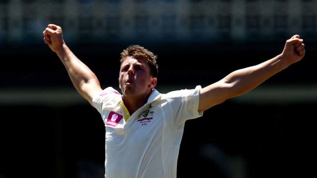 Flying high but now it is time for a rest ... James Pattinson was scheduled to miss the Perth Test before he got injured.