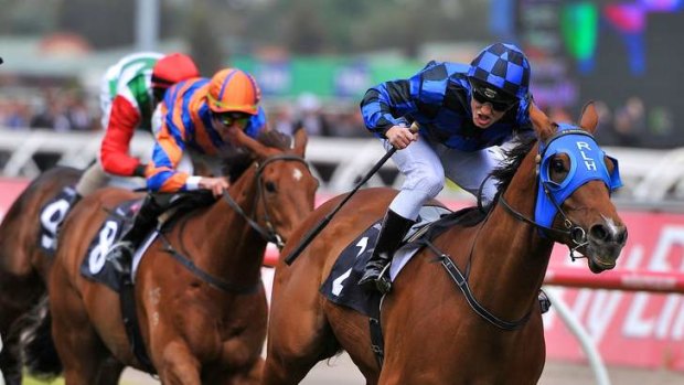Notching them up: Buffering, shown winning on Emirates Stakes Day at Flemington recently, scraped through to a win at Ascot on Saturday.