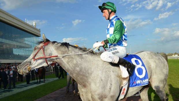 Hard going: Glen Boss on Puissance De Lune after the Underwood Stakes.