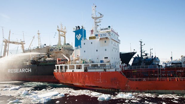 The Nisshin Maru hits the stern of Sea Shepherd's Steve Irwin in February 2013.