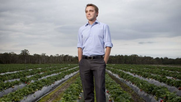 Strawberry fields forever … Wyatt Roy on his family's farm north of Brisbane.